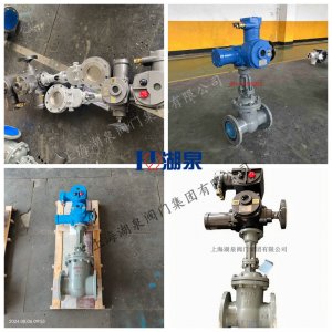 礦用電動(dòng)閘閥MZ941H-10 DN65（含調(diào)試運(yùn)行）